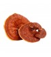 Thanvi Shroomness Reshi Mushroom Spawn (Ganoderma Lucidum) seeds 200 grams